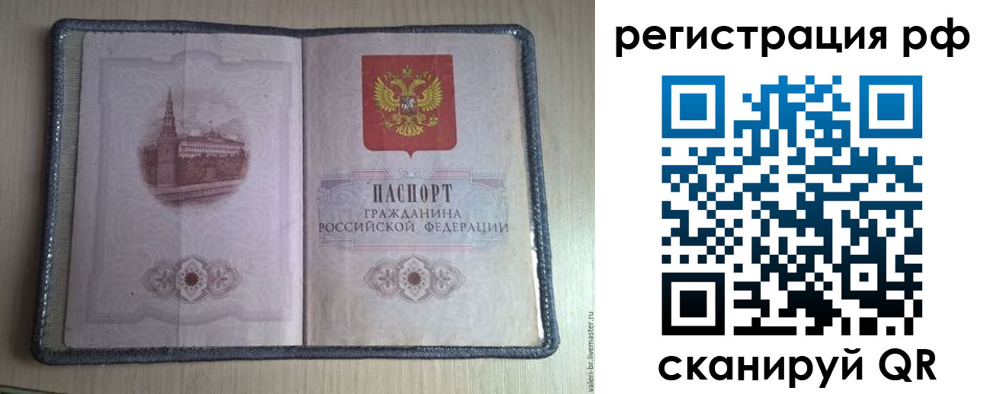 прописка поиск в Ермолино
